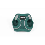 Hundegeschirr Gloria Trek Star 24-26 cm 28-28,6 cm türkis XXS