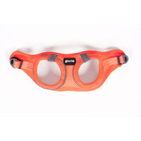 Hundegeschirr Gloria Trek Star 32,8-35,4 cm 45-47 cm Orange M