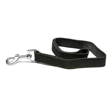 Hundeleine Gloria Oasis 1.5 x 100 cm Schwarz