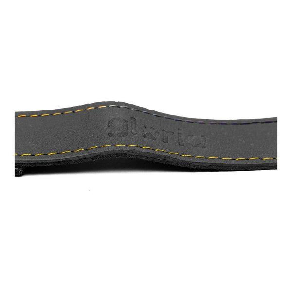 Hundeleine Gloria Oasis 1.5 x 100 cm Schwarz