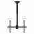 TV Deckenhalterung TooQ LPCE1170TSLI-B 37-70"