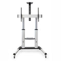 TV Halterung TooQ Partenón 60-100" 100 kg
