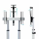 TV Halterung TooQ Partenón 60-100" 100 kg