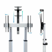 TV Halterung TooQ Partenón 60-100" 100 kg