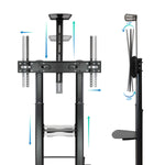 TV Halterung TooQ ZEUS 60" 100" 100 kg