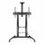 TV Halterung TooQ ZEUS 60" 100" 100 kg