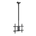 Hut TooQ LPCE1175TSLI-XL-B (1 Stück)