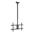 Hut TooQ LPCE1186TSLI-XL-B (1 Stück)
