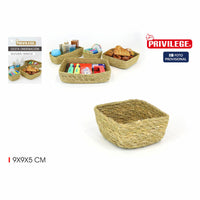 Veranstalter Privilege 9 x 9 x 5 cm