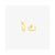 Damenohrringe Radiant RY000017 Edelstahl 2 cm