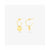Damenohrringe Radiant RY000027 Edelstahl 2 cm