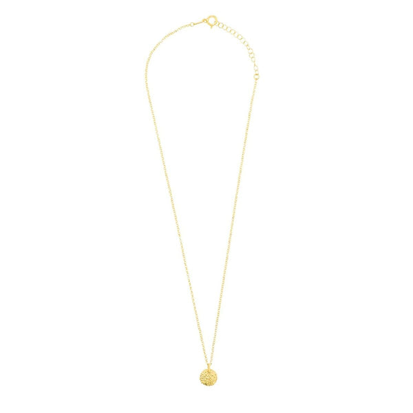 Halsband Radiant RY000028 50 cm