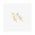 Damenohrringe Radiant RY000129 Edelstahl 2 cm