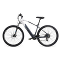 Elektrisches Fahrrad Youin YOURIDE EVEREST2 250 W