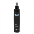 Haarstyling-Spray Nirvel Styling Nidyl