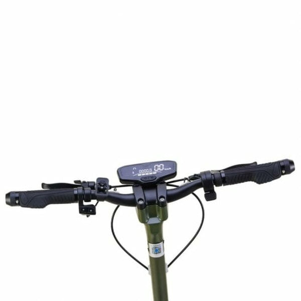 Elektroroller Smartgyro 500 W grün 48 V 13000 mAh (Restauriert A)