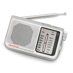 Tragbares Radio Aiwa RS55SL Grau