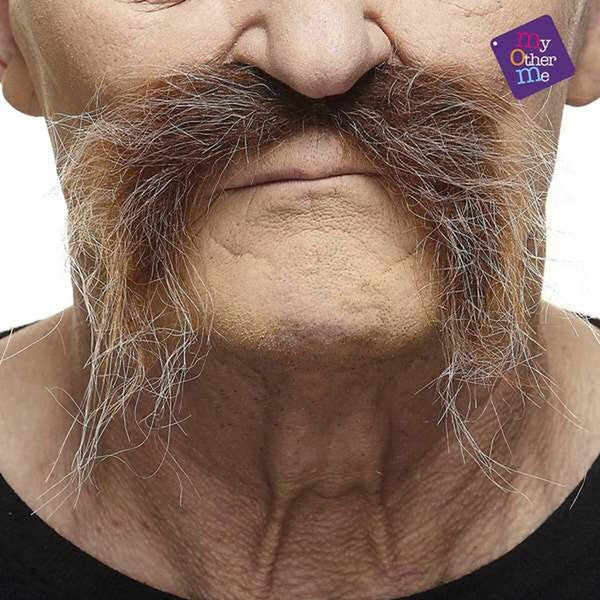 Schnurrbart My Other Me Braun