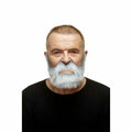 Falscher Bart My Other Me Grau