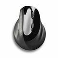 Mouse NGS
