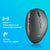 Mouse NGS Schwarz