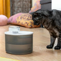 Trinkbrunnen für Katzen mit Akku und Sensor Refopet InnovaGoods