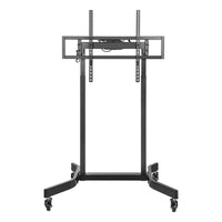 TV Halterung Aisens FTF100E-271 55" 100"