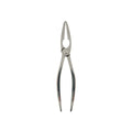 Zange für Meeresfrüchte Koala Eco Friendly Stahl Metall 20 x 4 x 1 cm