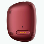 GPS-Suchgerät LEOTEC LETRACK02R