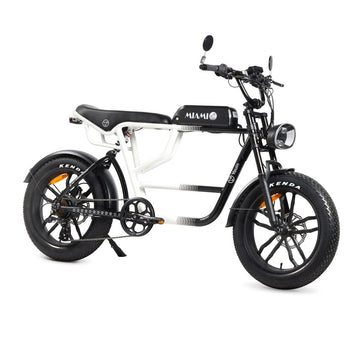 Elektrisches Fahrrad Youin BK7000 MIAMI 250 W 20"
