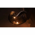 Videospiel für Switch Microids Papetura