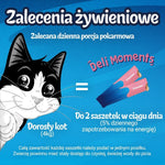 Snack für Katze Purina Felix Deli Moments Salmon 4 x 10 g