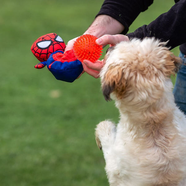 Hundespielzeug Spider-Man Rot 11,0 x 18,0 x 10,0 cm
