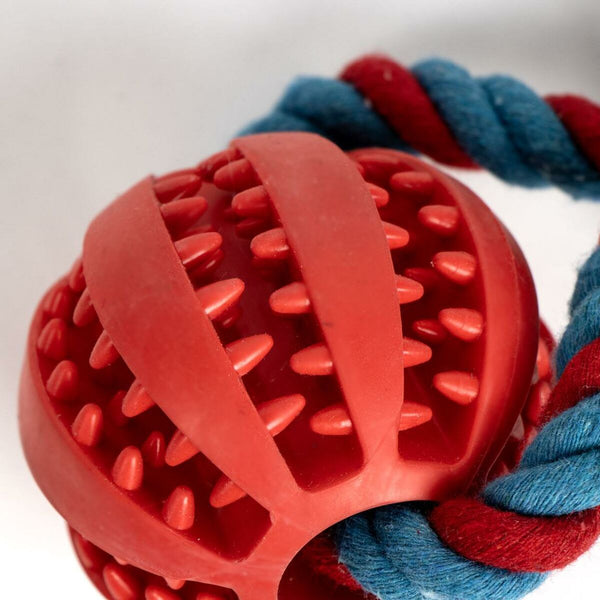 Beißring für Hunde Spider-Man 10 x 30 x 7 cm