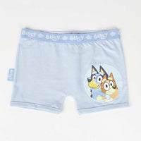 Schlafanzug Für Kinder Bluey Hellblau (4 Jahre)