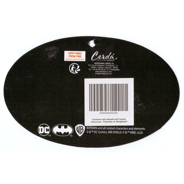 Mütze und Handschuhe Batman Blau