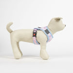 Hundegeschirr Barbie