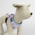 Hundegeschirr Barbie