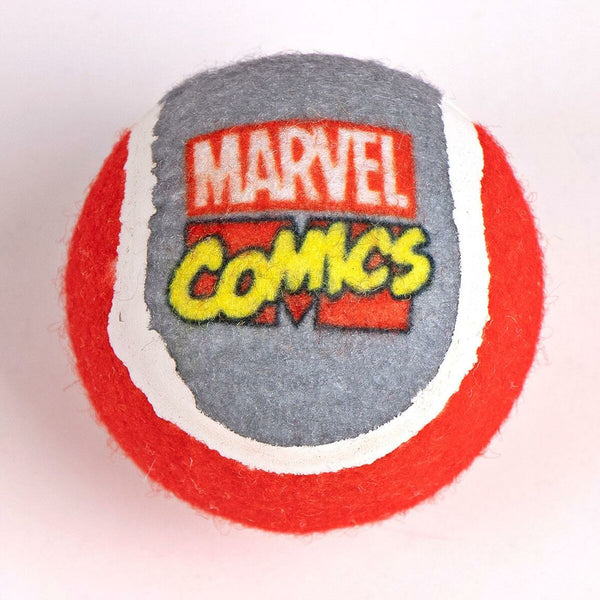 Willkommensgeschenkset für Hunde Marvel Bunt 21,0 x 21,0 x 8,8 cm Hund