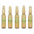 Ampullen Endoncare Tensage Regenerativ (10 x 2 ml)