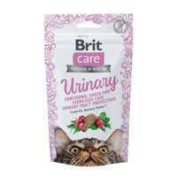 Hundesnack Brit Truthahn 50 g