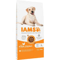 Hundefutter IAMS Vitality Adult Large Breed Huhn 12 kg