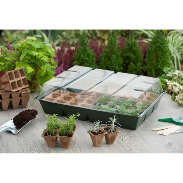 Pflanzset Nature 13 x 43 x 32,5 cm