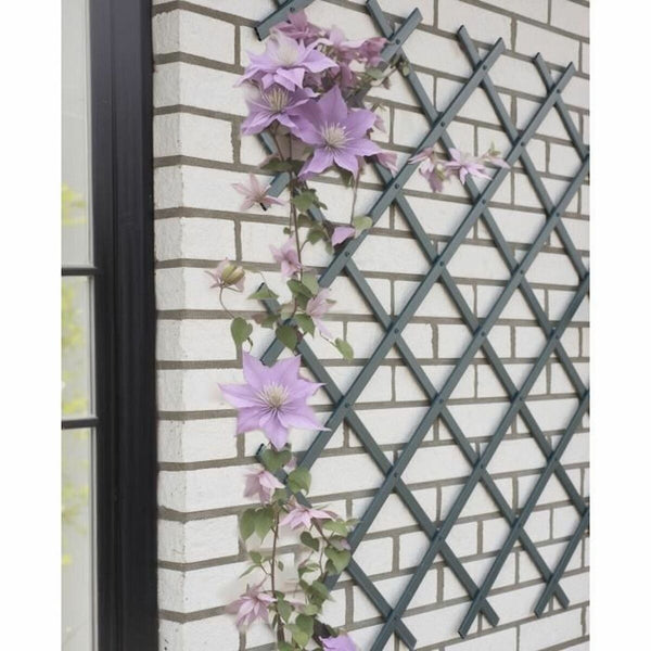 Gartenzaun Nature NATURE Anthrazit Kunststoff