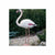 Dekorative Gartenfigur Ubbink Harz Rosa Flamingo