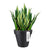 Blumentopf Elho 8403604042500 Anthrazit Ø 40 cm