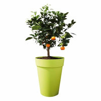 Blumentopf Elho Loft Urban Weiß Polypropylen rund Ø 28 cm