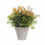 Blumentopf Elho Urban Grau rund Ø 20 cm