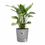 Blumentopf Elho Grau Ø 43 cm