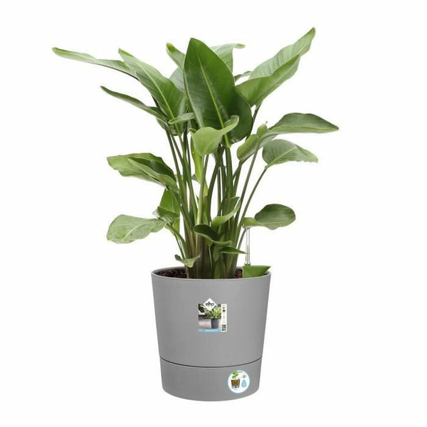 Blumentopf Elho Grau Ø 43 cm